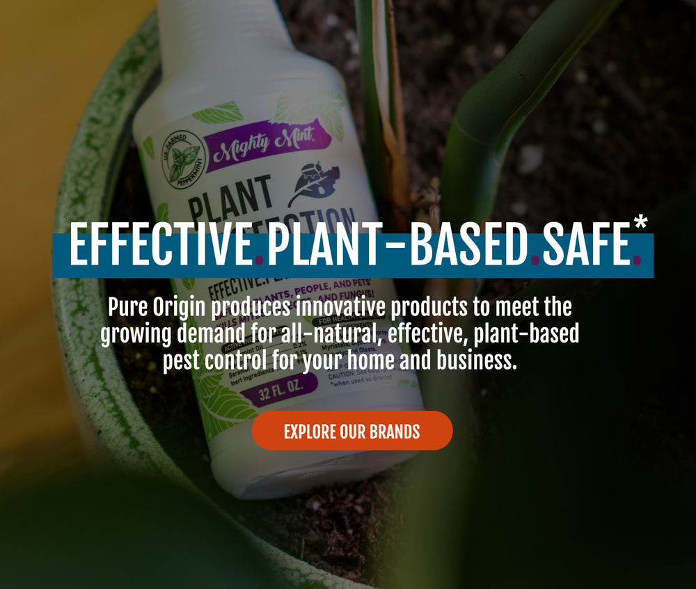 Pure Origin Products 