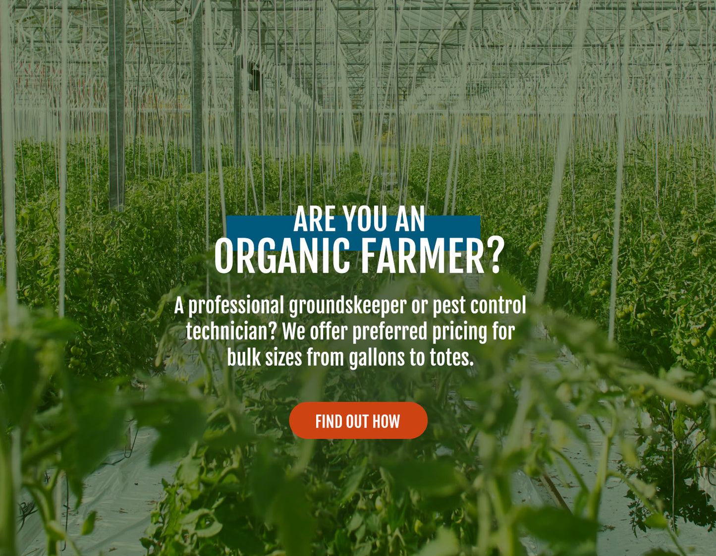 Pure Origin Products 