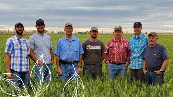 Pure Origin Products 