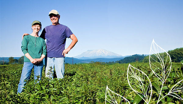 Pure Origin Products 