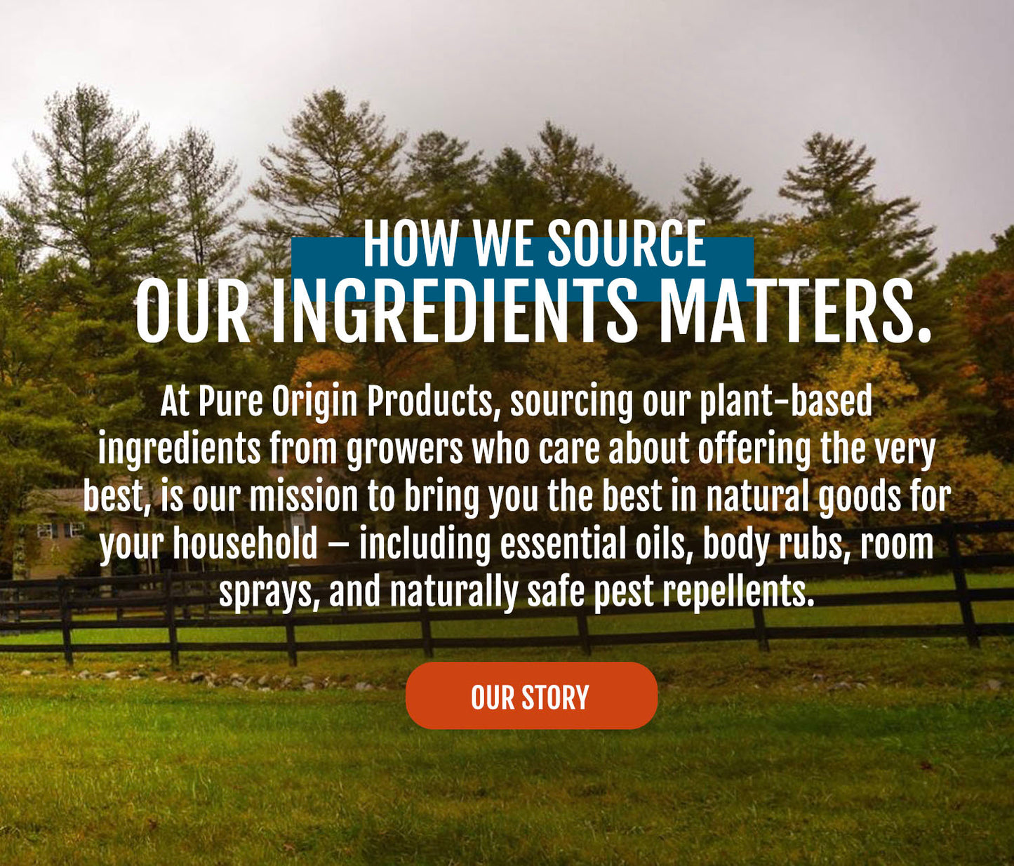 Pure Origin Products 
